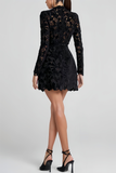 Long Sleeve Lace Mini Dress