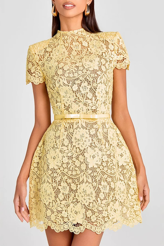 Flower Lace Long Sleeve Bow Belted Mini Dress