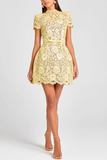 Flower Lace Long Sleeve Bow Belted Mini Dress