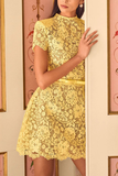 Flower Lace Long Sleeve Bow Belted Mini Dress
