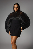 Balloon Sleeve Mesh Mini Dress