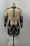 Sexy Long Sleeve Hollow Out Black Mini Laced Backless