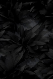 Floral Detail Mesh Dress Black