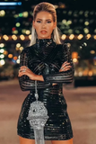 Half High Collar Leather Patchwork Mesh Black Mini Dress