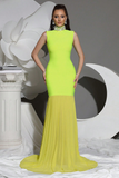 New Diamond Turtleneck Bodycon Long Dress