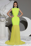 New Diamond Turtleneck Bodycon Long Dress