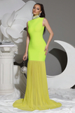 New Diamond Turtleneck Bodycon Long Dress