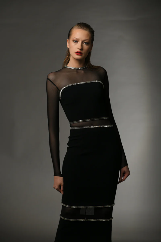 Black Baguette Embroidery Dress