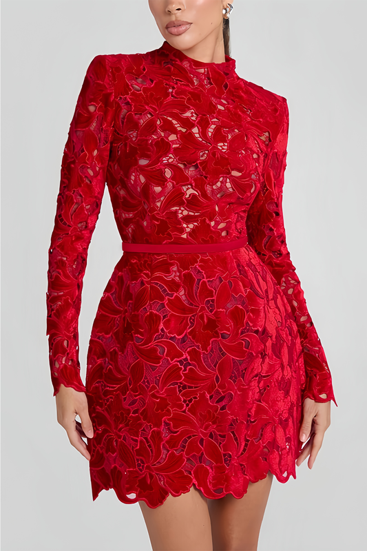 Long Sleeve Lace Mini Dress