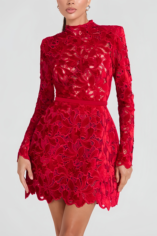 Long Sleeve Lace Mini Dress