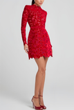 Long Sleeve Lace Mini Dress