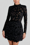 Long Sleeve Lace Mini Dress