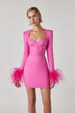 Stretch Long Sleeves Mini Dress