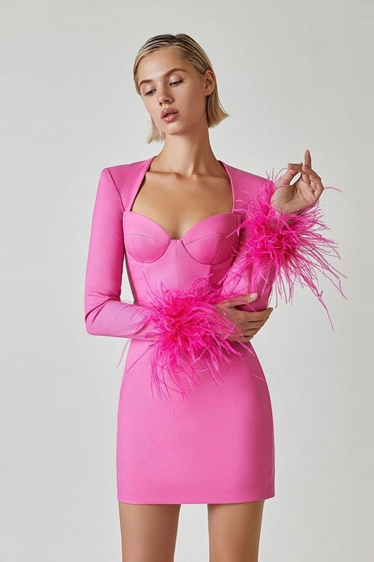 Stretch Long Sleeves Mini Dress