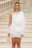 3D Voluminous Organza Floral Mini Dress
